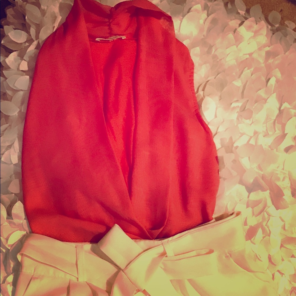 Bodysuit/blouse